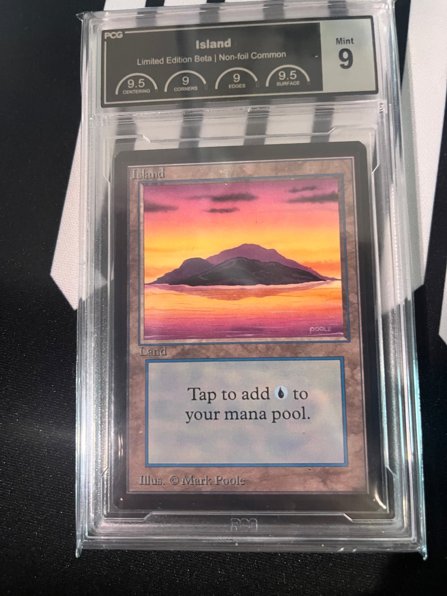 MTG Island Limited Edition Beta Non-Foil Common PCG 9.0 - 000092284